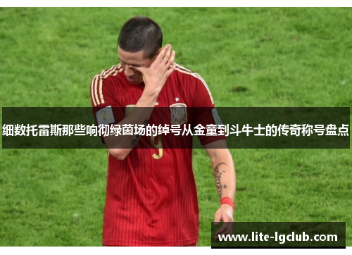 细数托雷斯那些响彻绿茵场的绰号从金童到斗牛士的传奇称号盘点 细数托雷斯那些响彻绿茵场的绰号从金童到斗牛士的传奇称号盘点