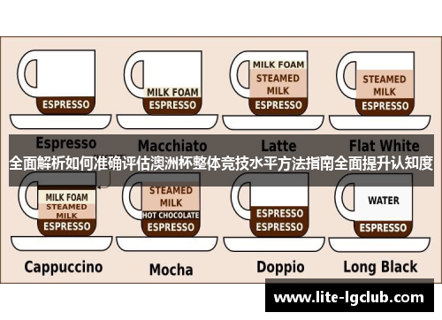全面解析如何准确评估澳洲杯整体竞技水平方法指南全面提升认知度 全面解析如何准确评估澳洲杯整体竞技水平方法指南全面提升认知度