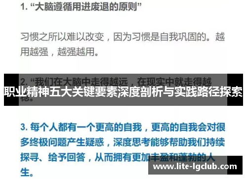 职业精神五大关键要素深度剖析与实践路径探索