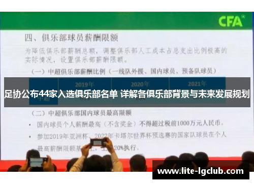 足协公布44家入选俱乐部名单 详解各俱乐部背景与未来发展规划