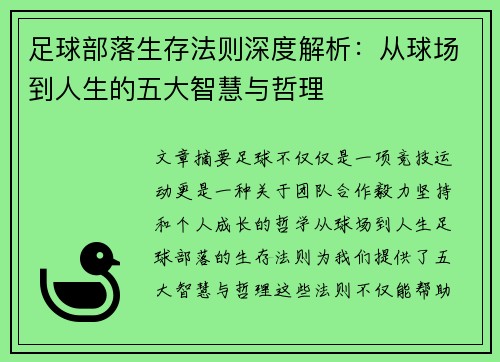 足球部落生存法则深度解析：从球场到人生的五大智慧与哲理