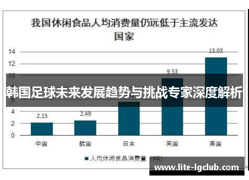韩国足球未来发展趋势与挑战专家深度解析 韩国足球未来发展趋势与挑战专家深度解析