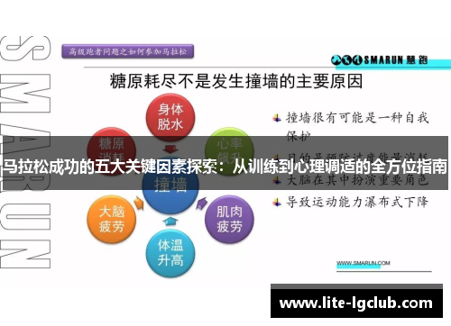 马拉松成功的五大关键因素探索:从训练到心理调适的全方位指南 马拉松成功的五大关键因素探索:从训练到心理调适的全方位指南